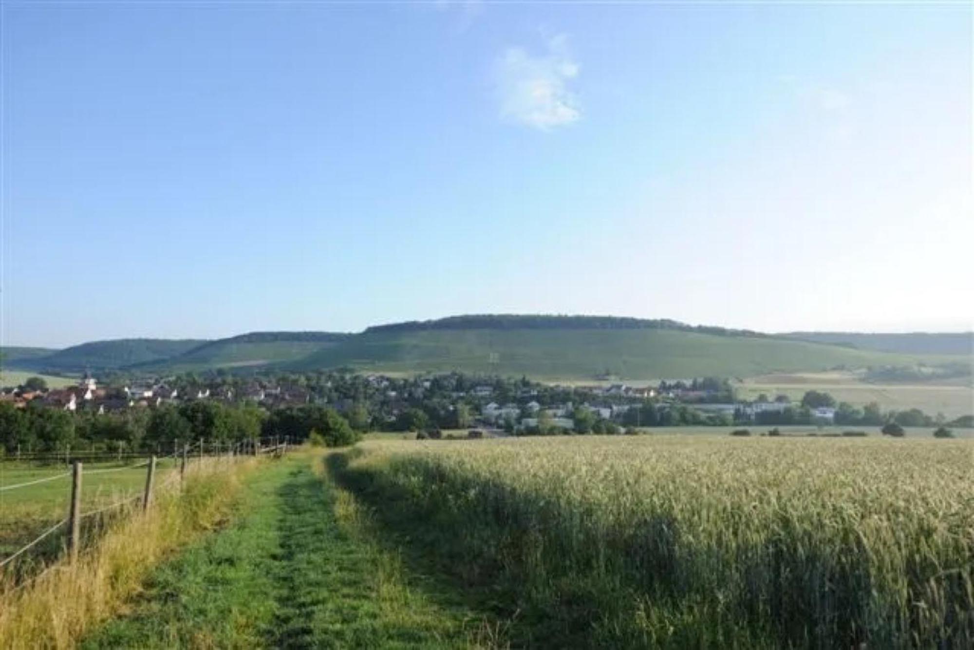 Landpension Wachtkopf Vaihingen an der Enz Eksteriør billede