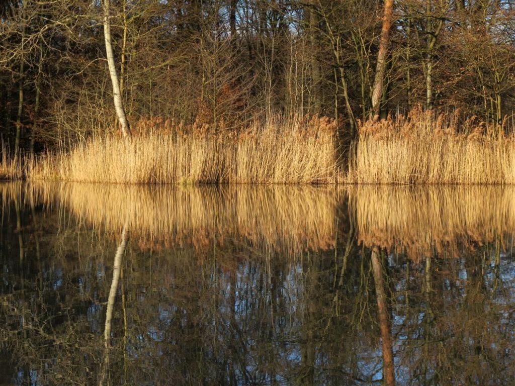 Landpension Wachtkopf Vaihingen an der Enz Eksteriør billede