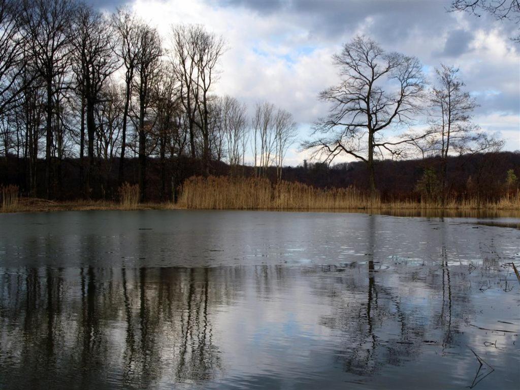 Landpension Wachtkopf Vaihingen an der Enz Eksteriør billede